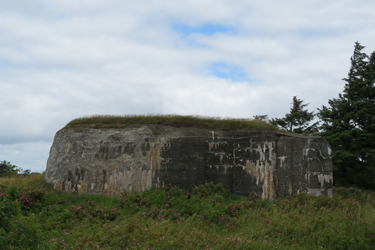 Der größte der drei Bunker ist 70 m2 groß und enthielt eine Kanonenposition, die das Wasser zwischen Mandø und Fanø bedeckte. Foto: Charlotte Lindhardt.
